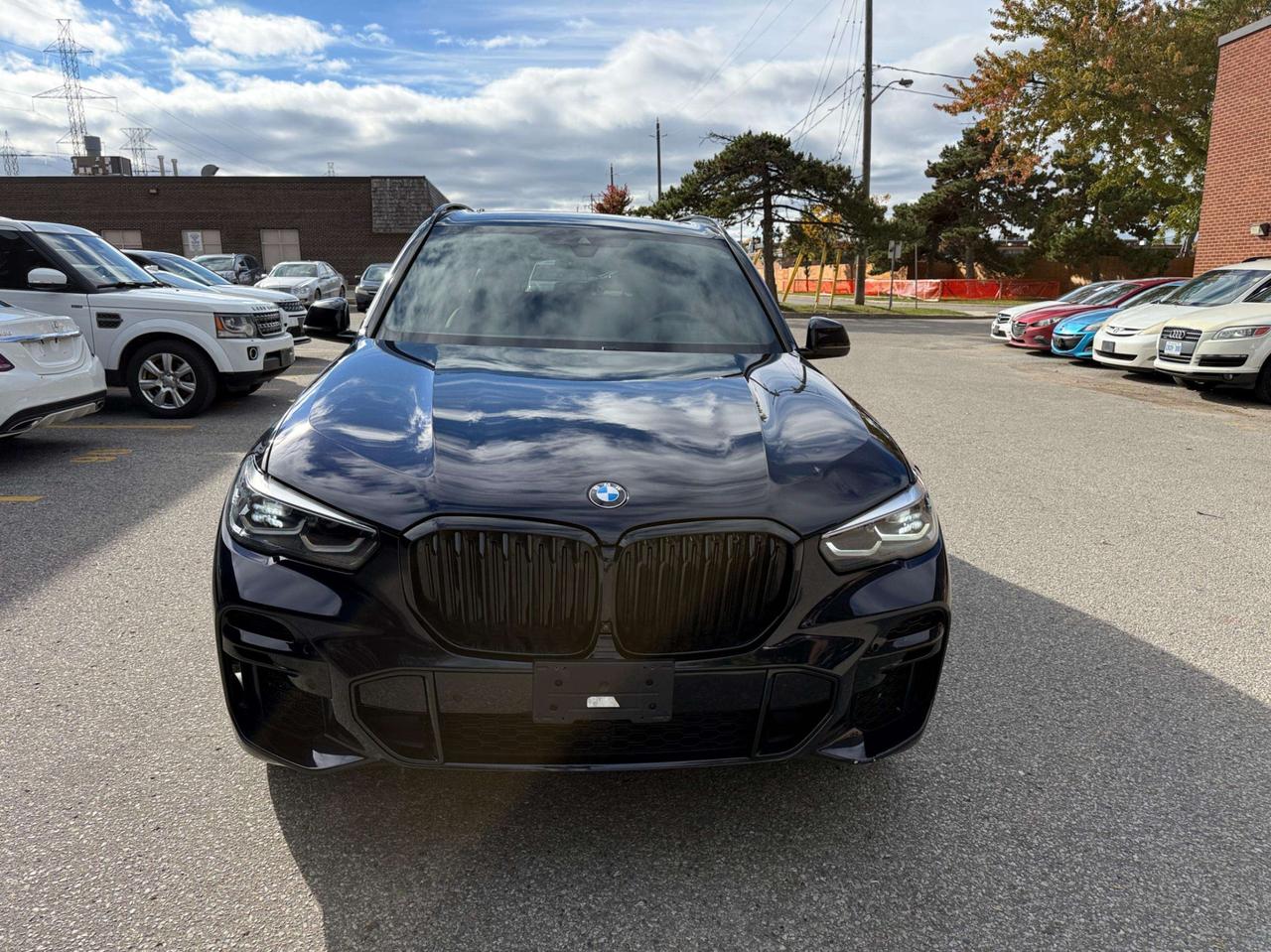 2022 BMW X5 M50i Sports Activity Vehicle Photo