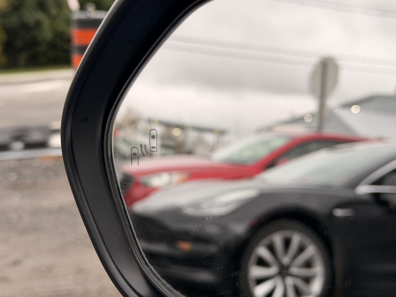 2020 Toyota Corolla SE Photo