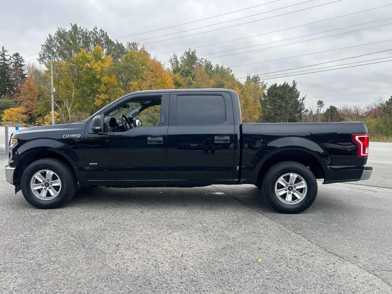 2017 Ford F-150 XLT Photo