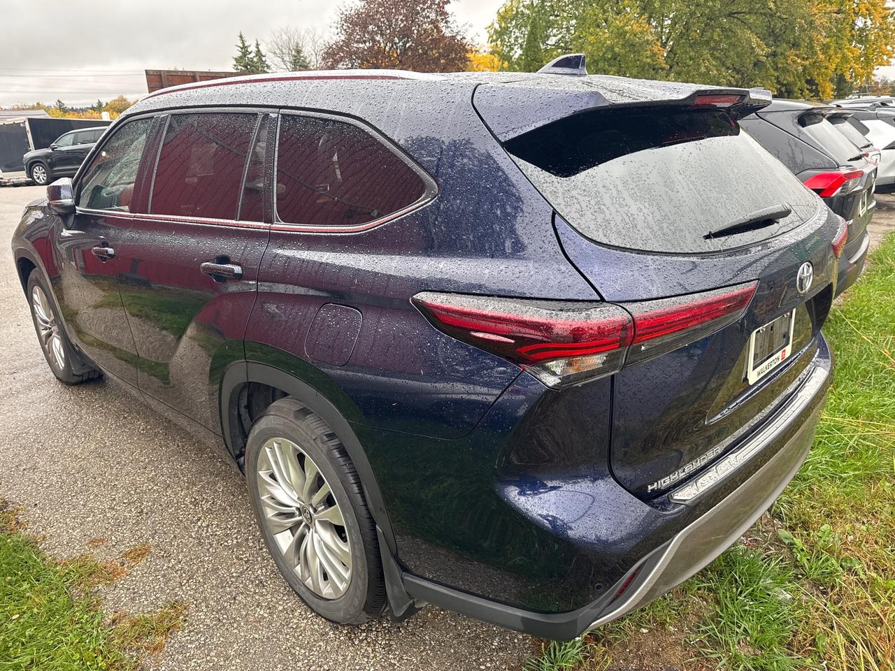 2025 Toyota Highlander Limited 4dr All-Wheel Drive Photo