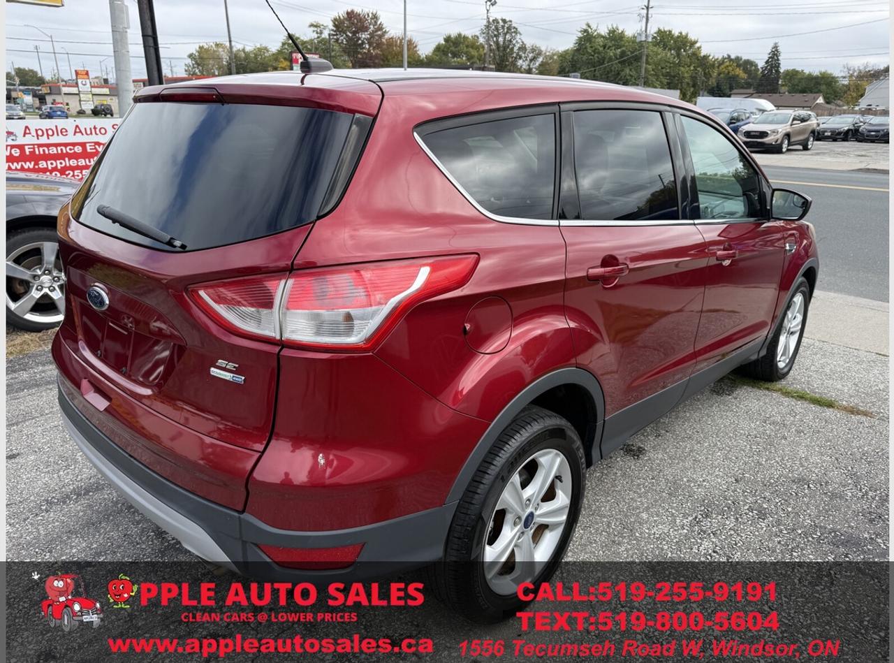 2015 Ford Escape SE Photo3