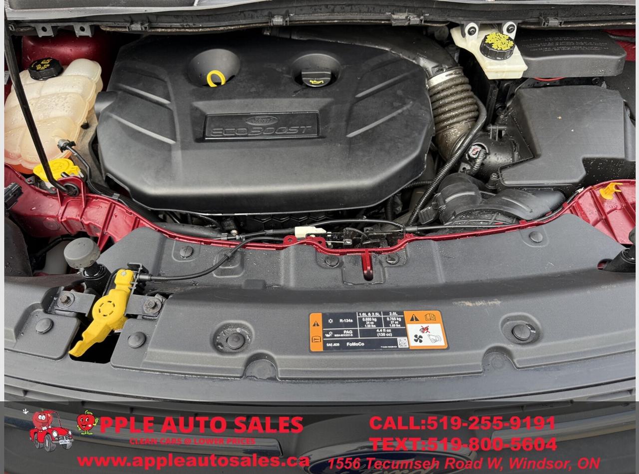 2015 Ford Escape SE Photo