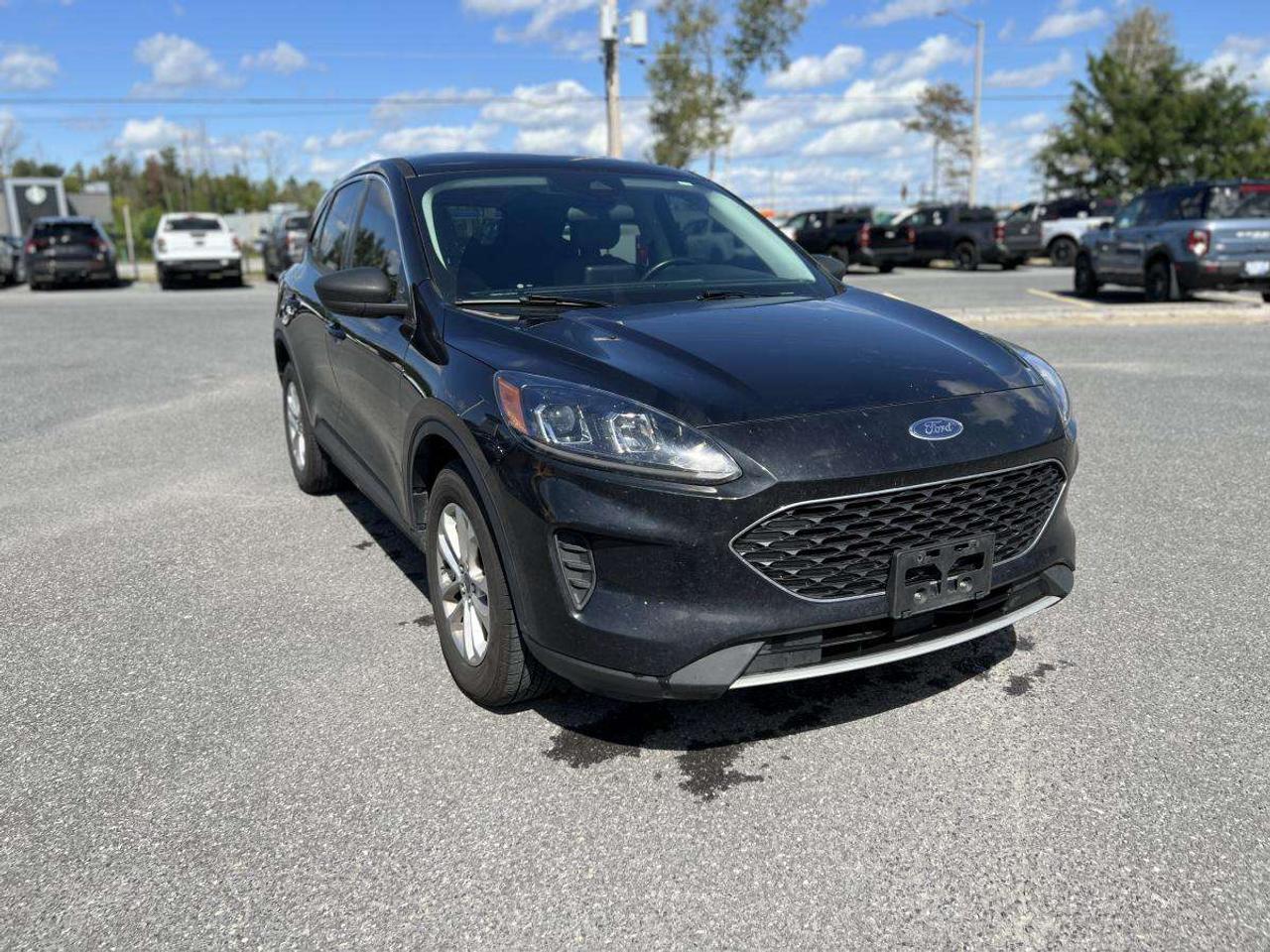 2022 Ford Escape SE AWD Photo
