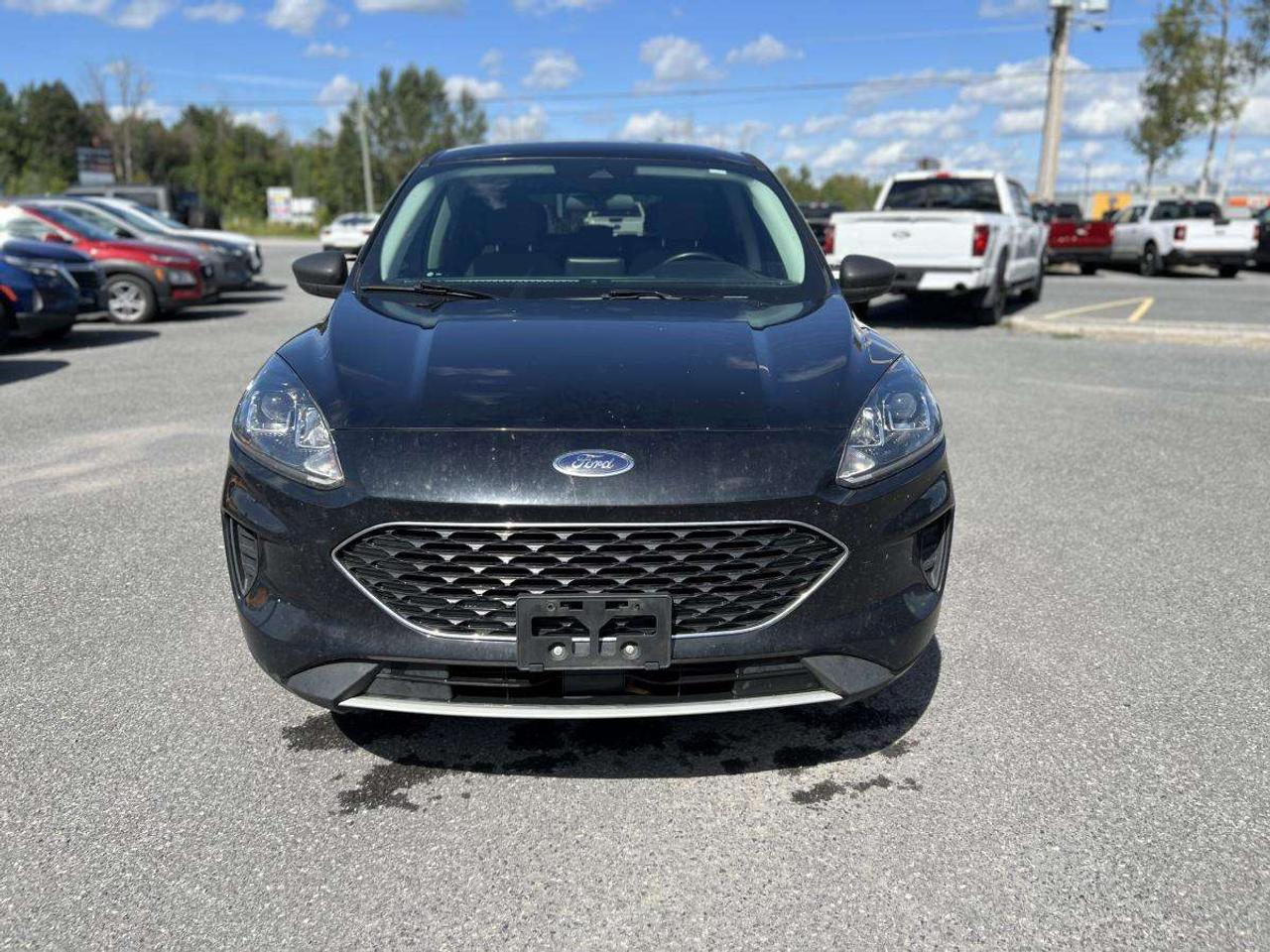 2022 Ford Escape SE AWD Photo