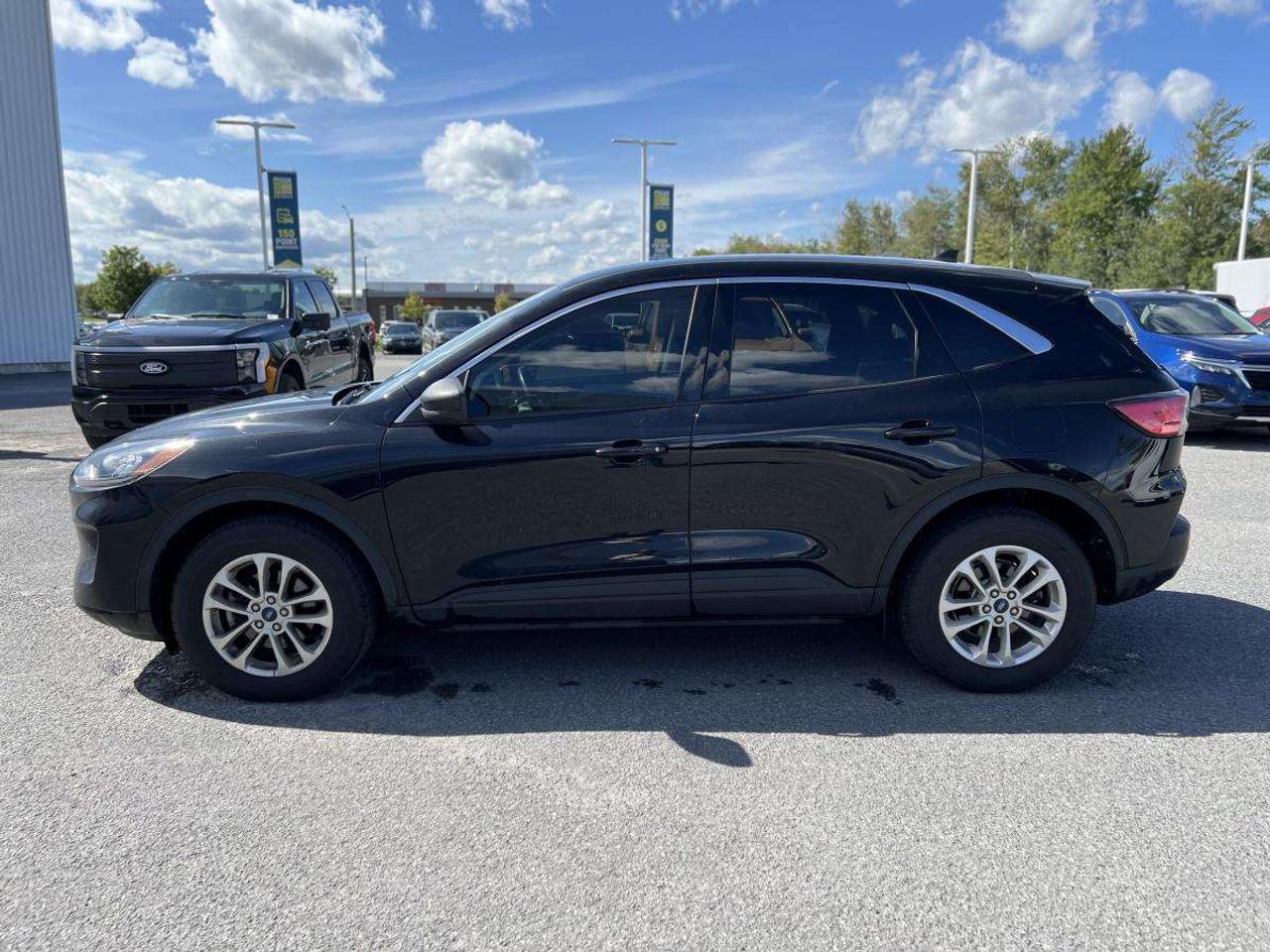 2022 Ford Escape SE AWD Photo