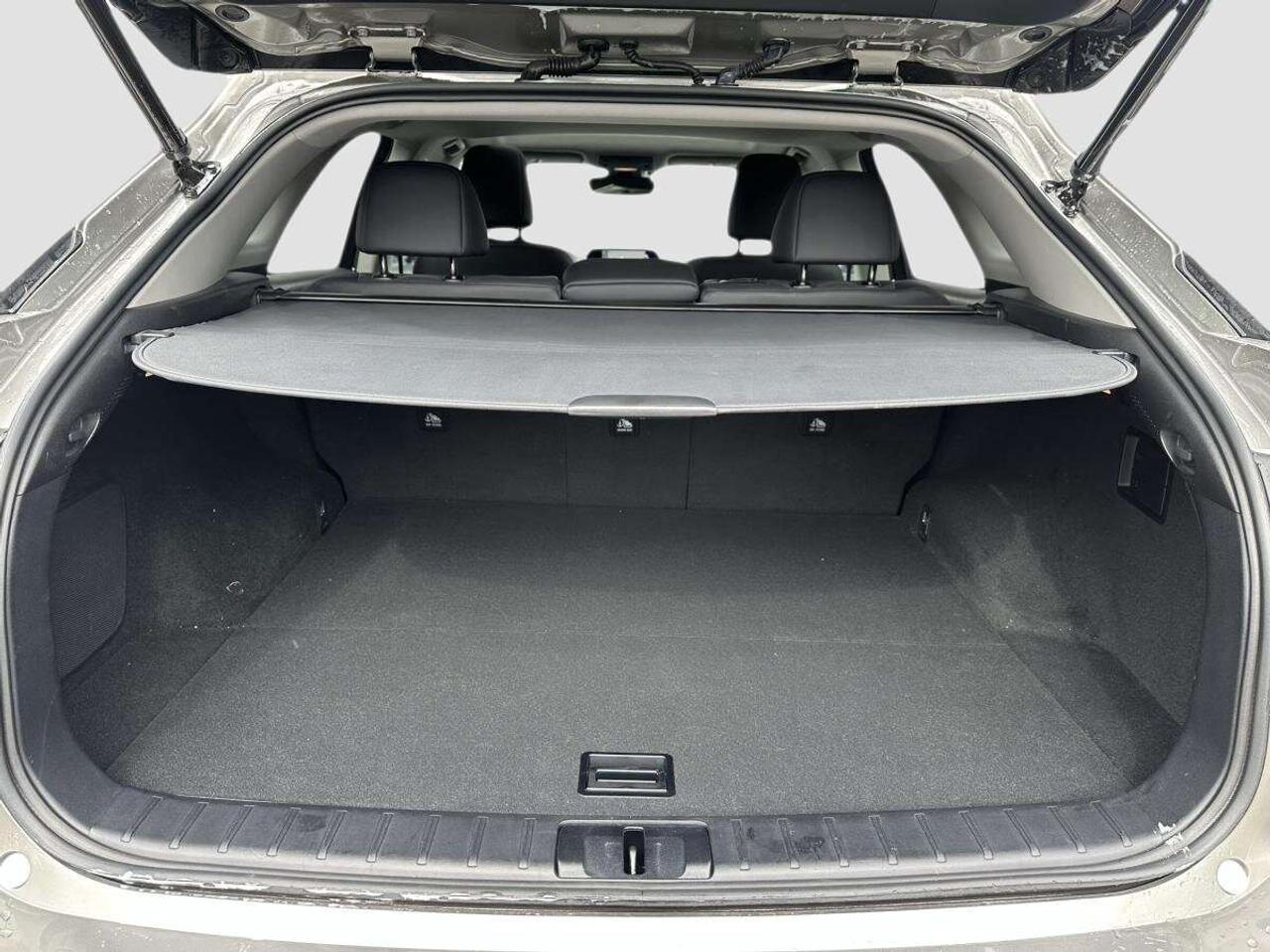 2018 Lexus RX 350 Auto Photo