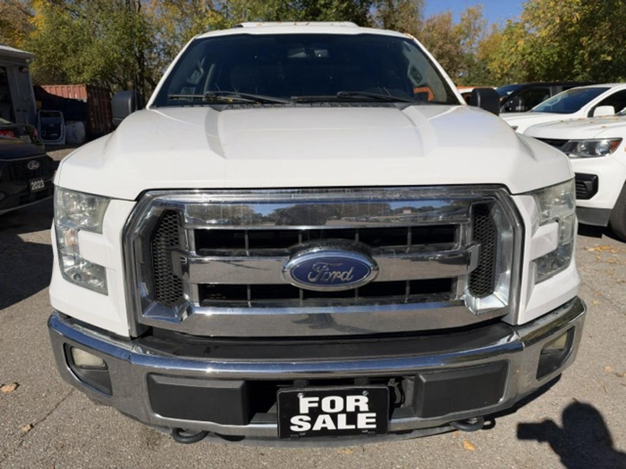 2015 Ford F-150 4WD SUPERCREW 145" XLT CREW CAB Photo5
