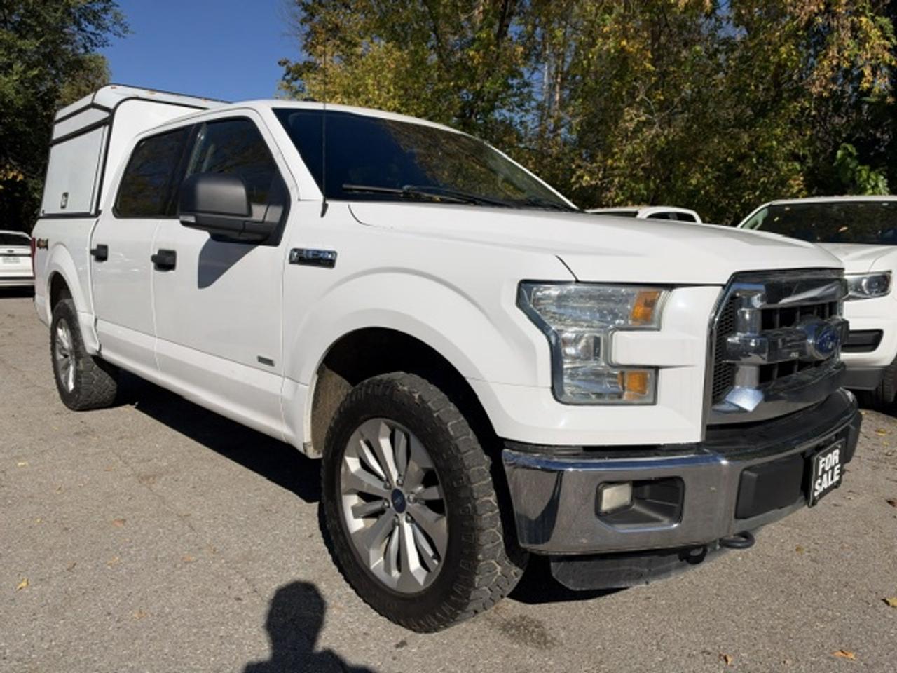 2015 Ford F-150 4WD SUPERCREW 145" XLT CREW CAB Photo
