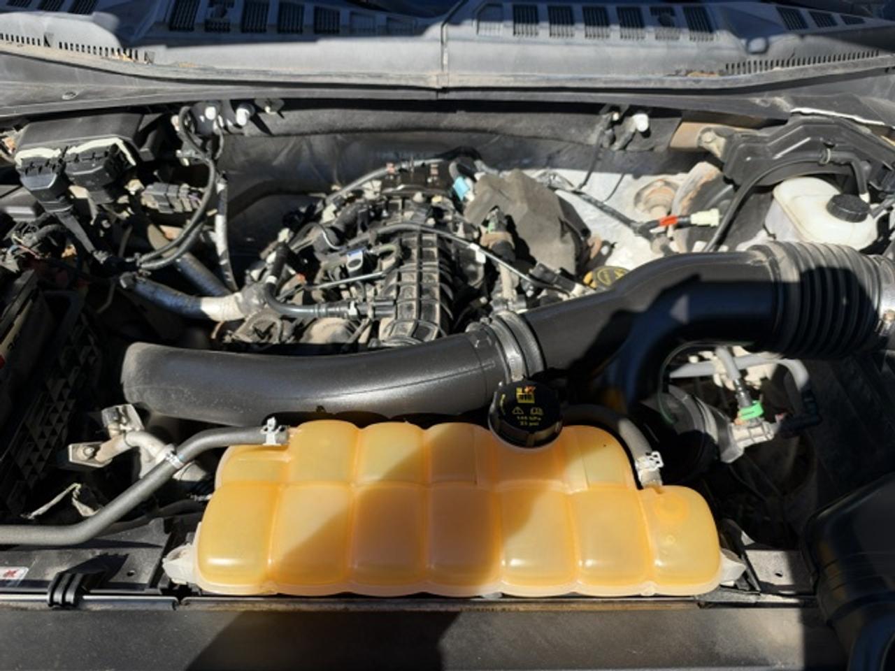 2015 Ford F-150 4WD SUPERCREW 145" XLT CREW CAB Photo