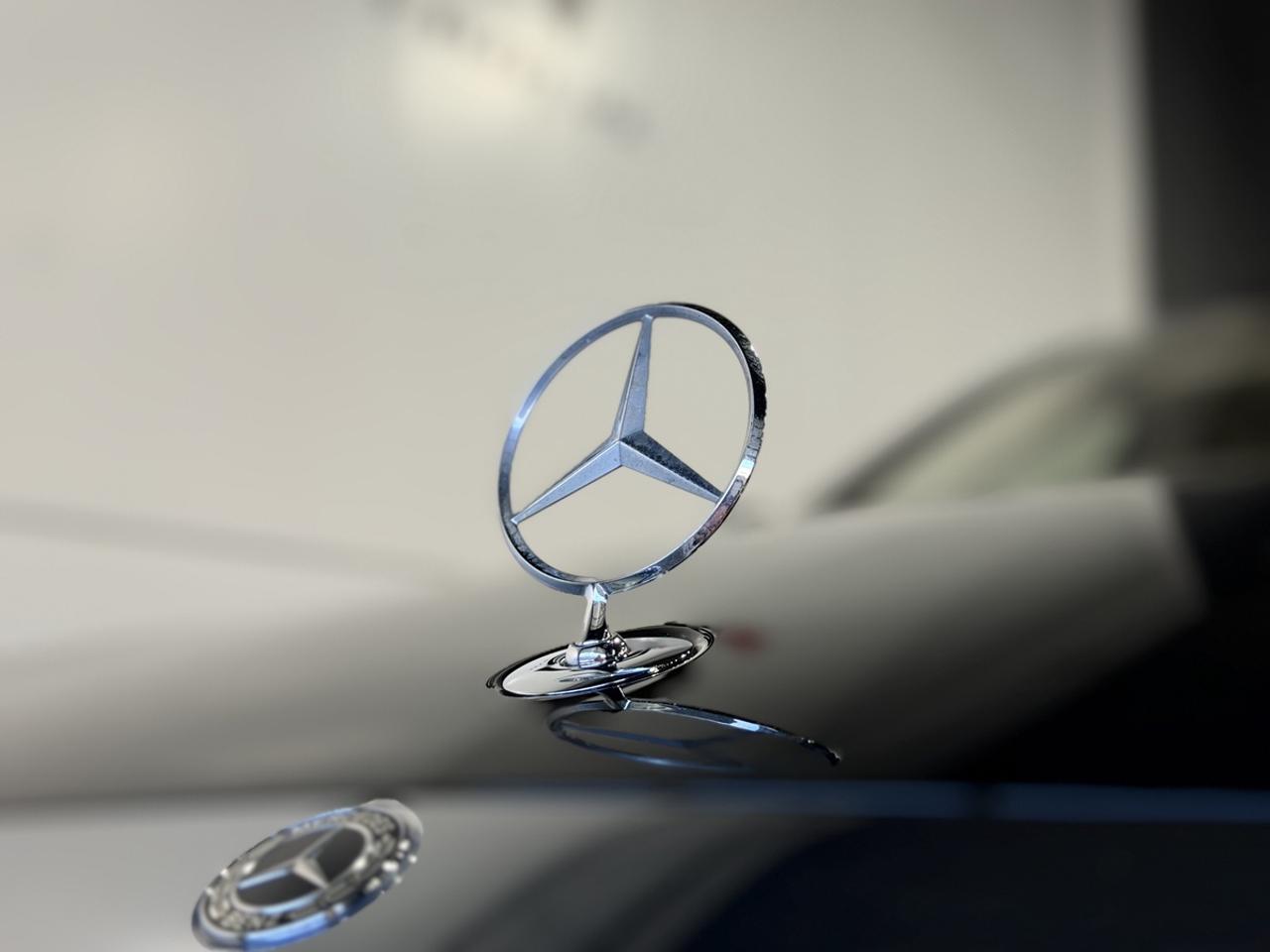 2019 Mercedes-Benz S-Class 560 Photo