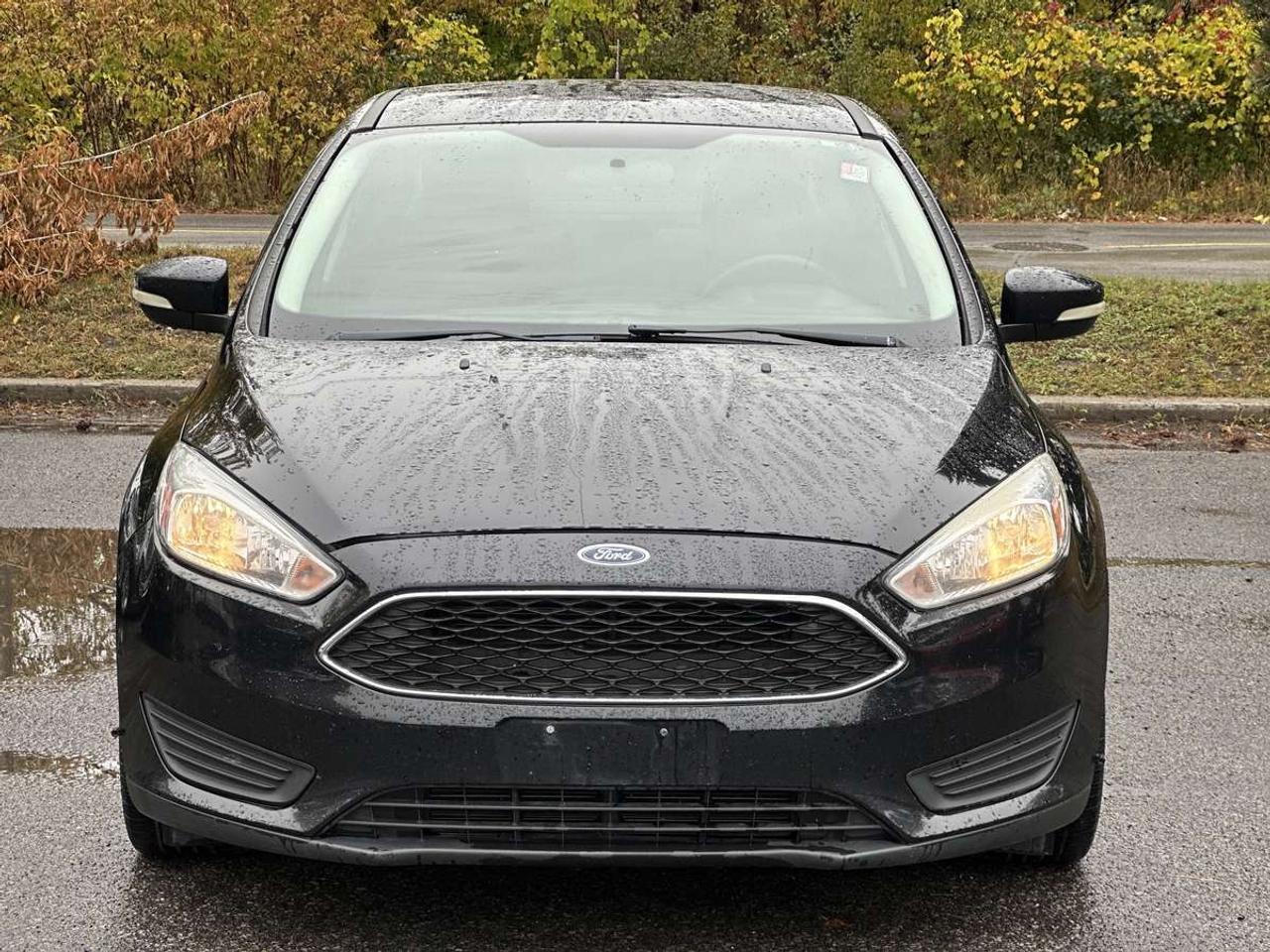 2018 Ford Focus SE Photo