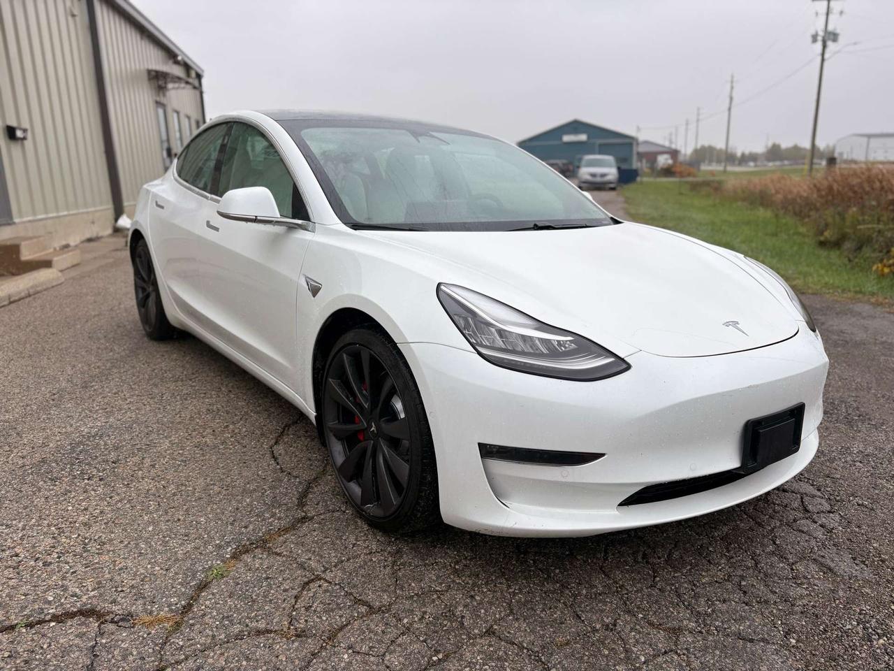 2020 Tesla Model 3 Performance, AWD, White on White, Photo