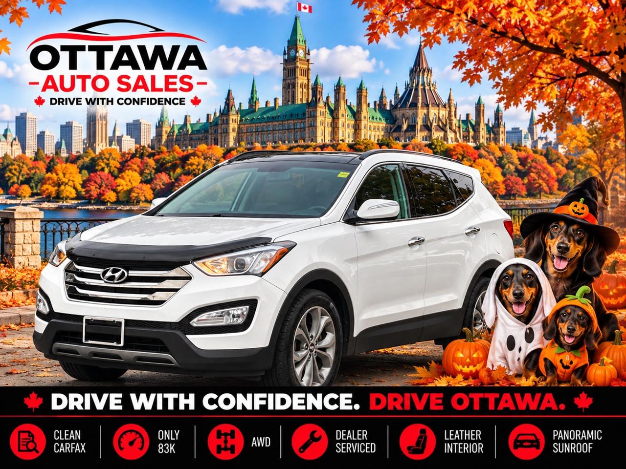 2016 Hyundai Santa Fe Sport 2.0T Photo