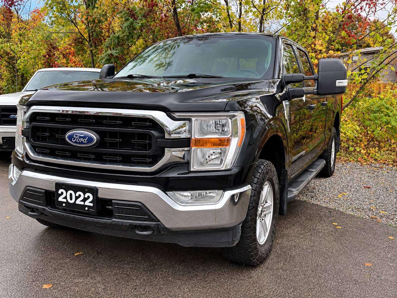 2022 Ford F-150 XLT 5.0L V8 COYOTE   B6   6.5' BOX   301A Photo