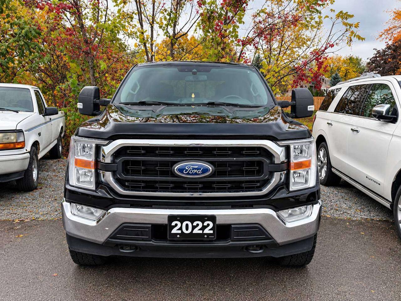 2022 Ford F-150 XLT 5.0L V8 COYOTE   B6   6.5' BOX   301A Photo1