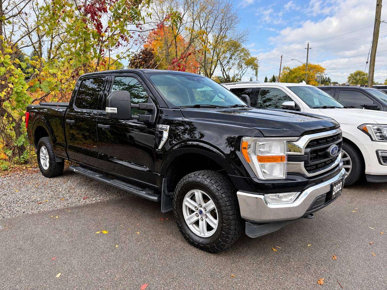 2022 Ford F-150 XLT 5.0L V8 COYOTE   B6   6.5' BOX   301A Photo