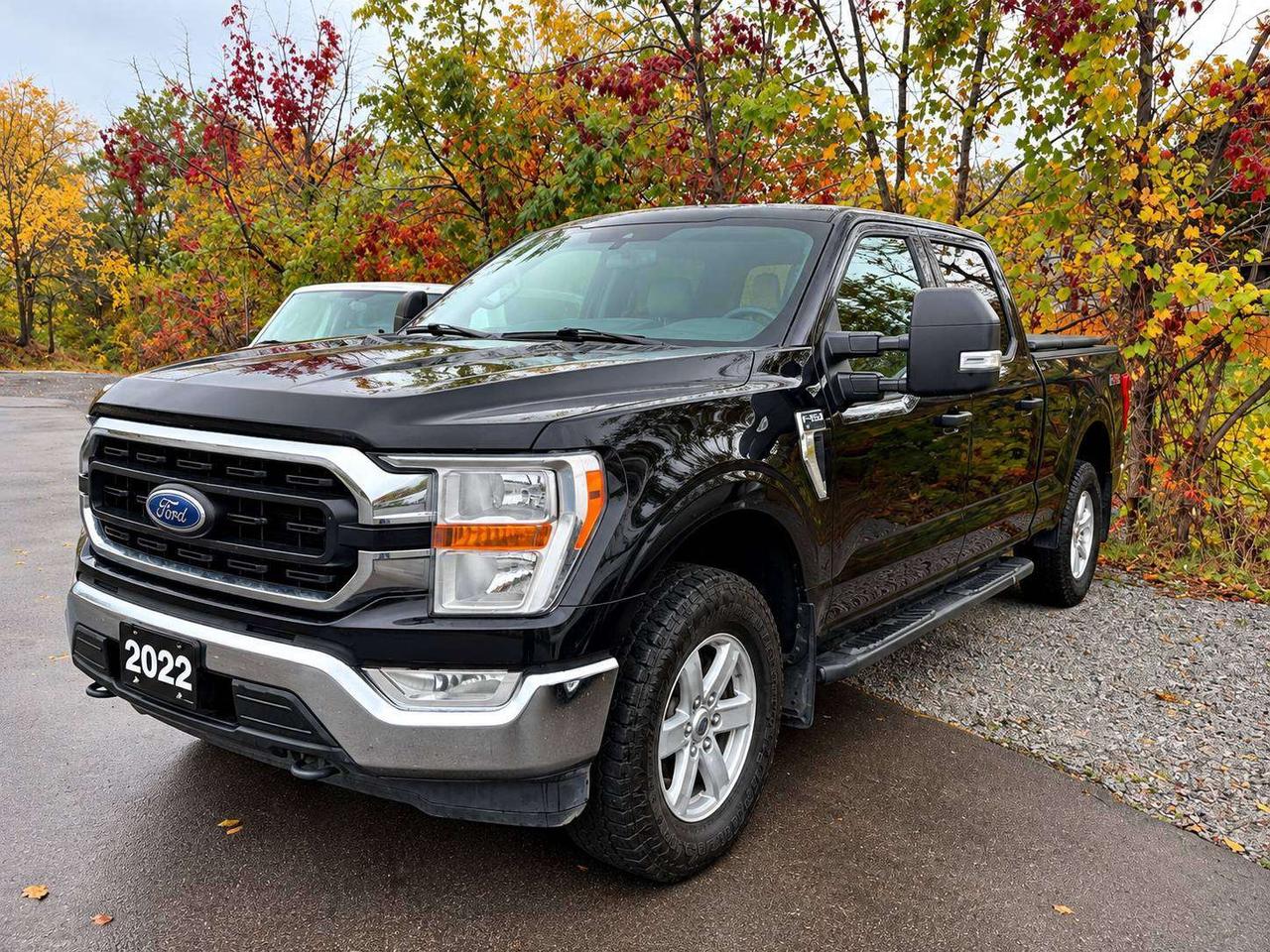 2022 Ford F-150 XLT 5.0L V8 COYOTE   B6   6.5' BOX   301A Photo