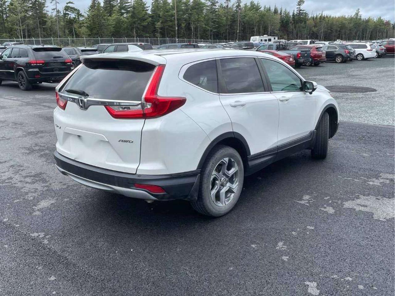 2019 Honda CR-V EX Photo