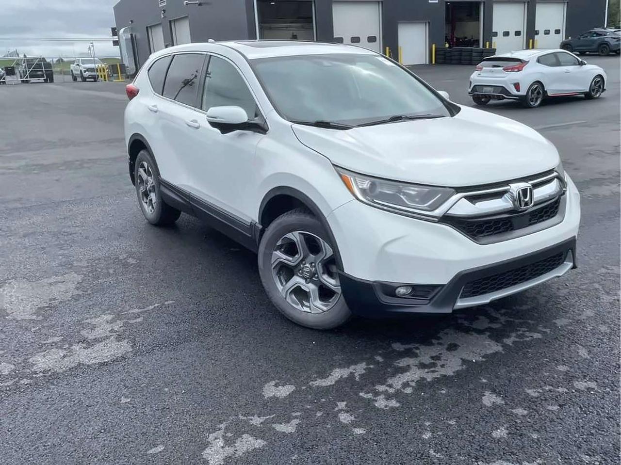 2019 Honda CR-V EX Photo