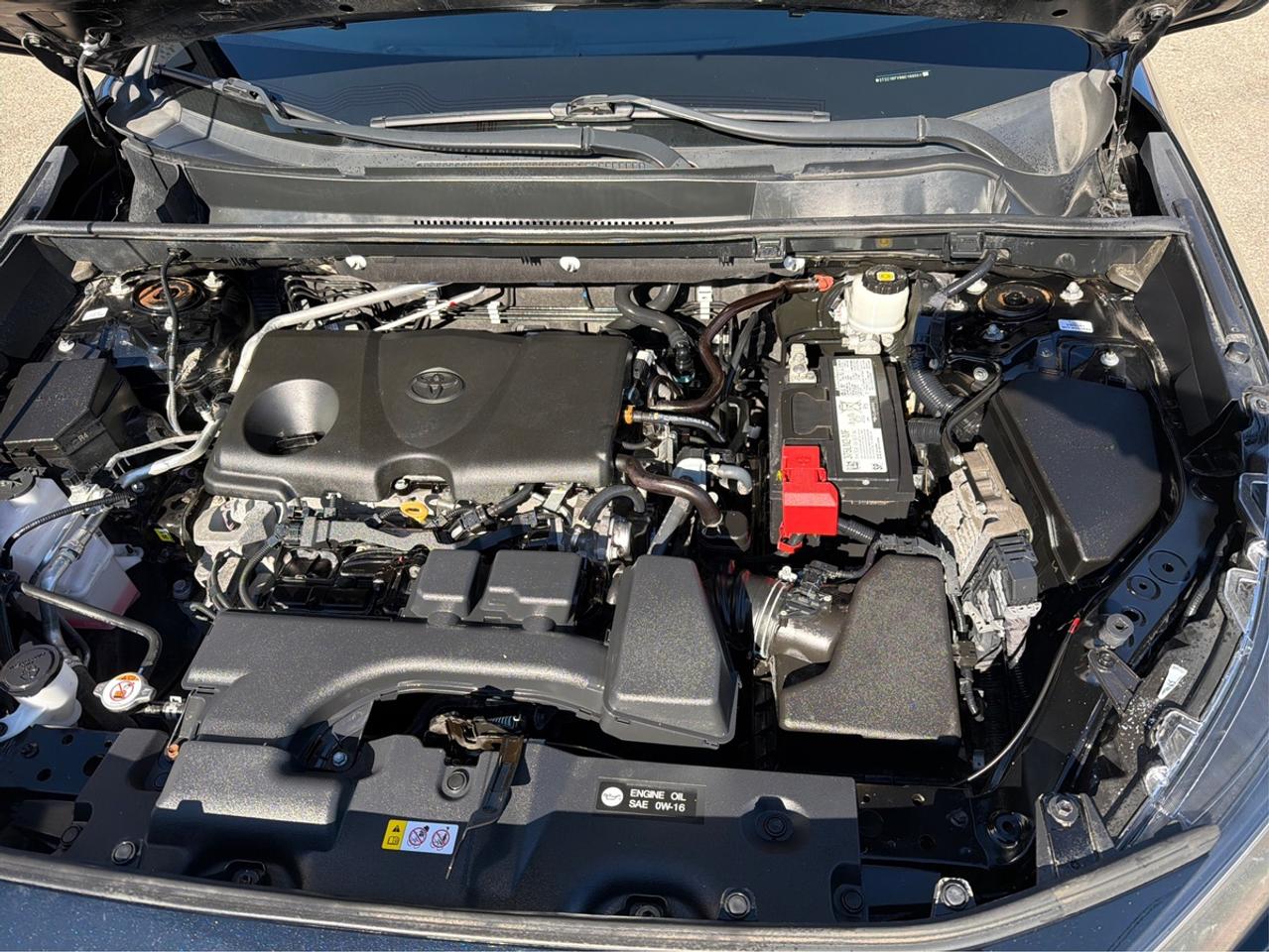 2022 Toyota RAV4 LE Photo