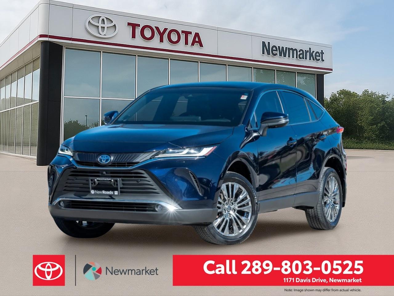 2023 Toyota Venza LIMITED AWD Photo0