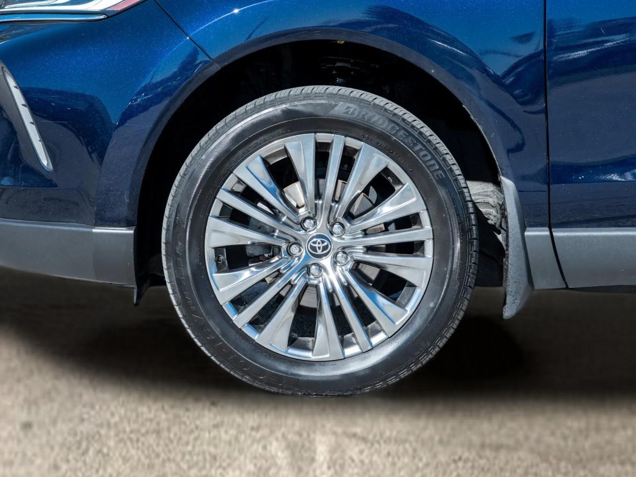 2023 Toyota Venza LIMITED AWD Photo