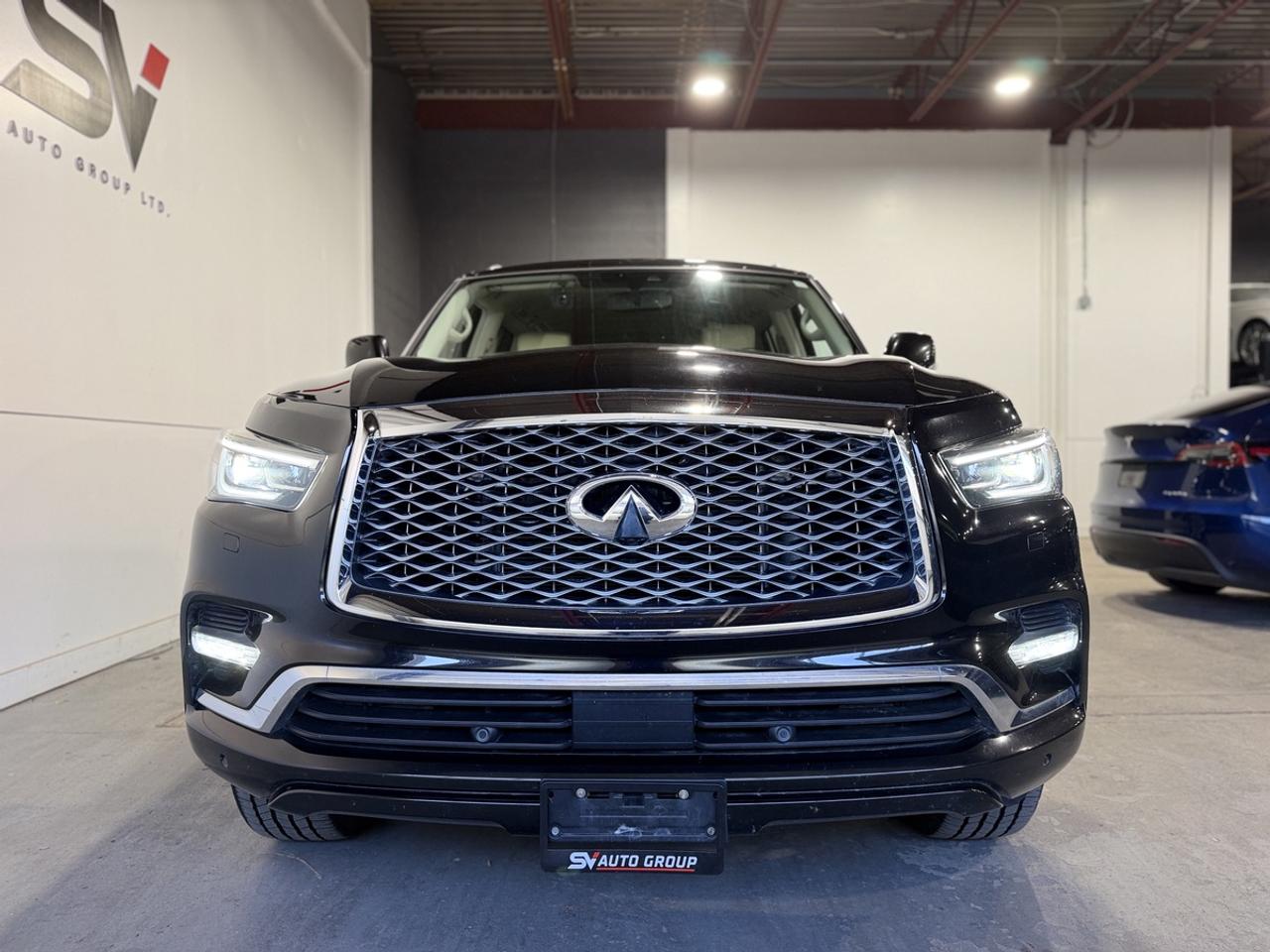 2019 Infiniti QX80 LUXE Photo