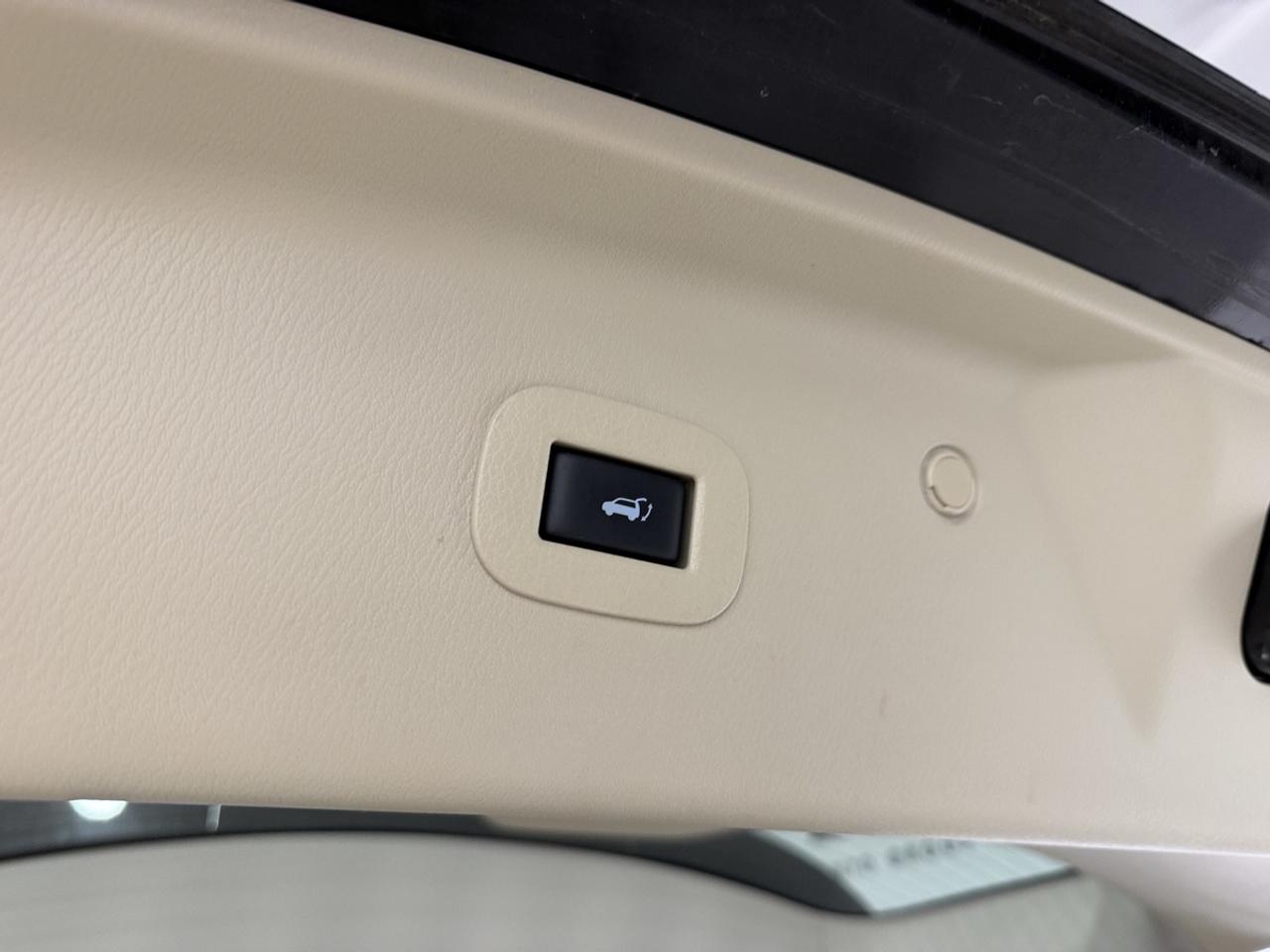 2019 Infiniti QX80 LUXE Photo