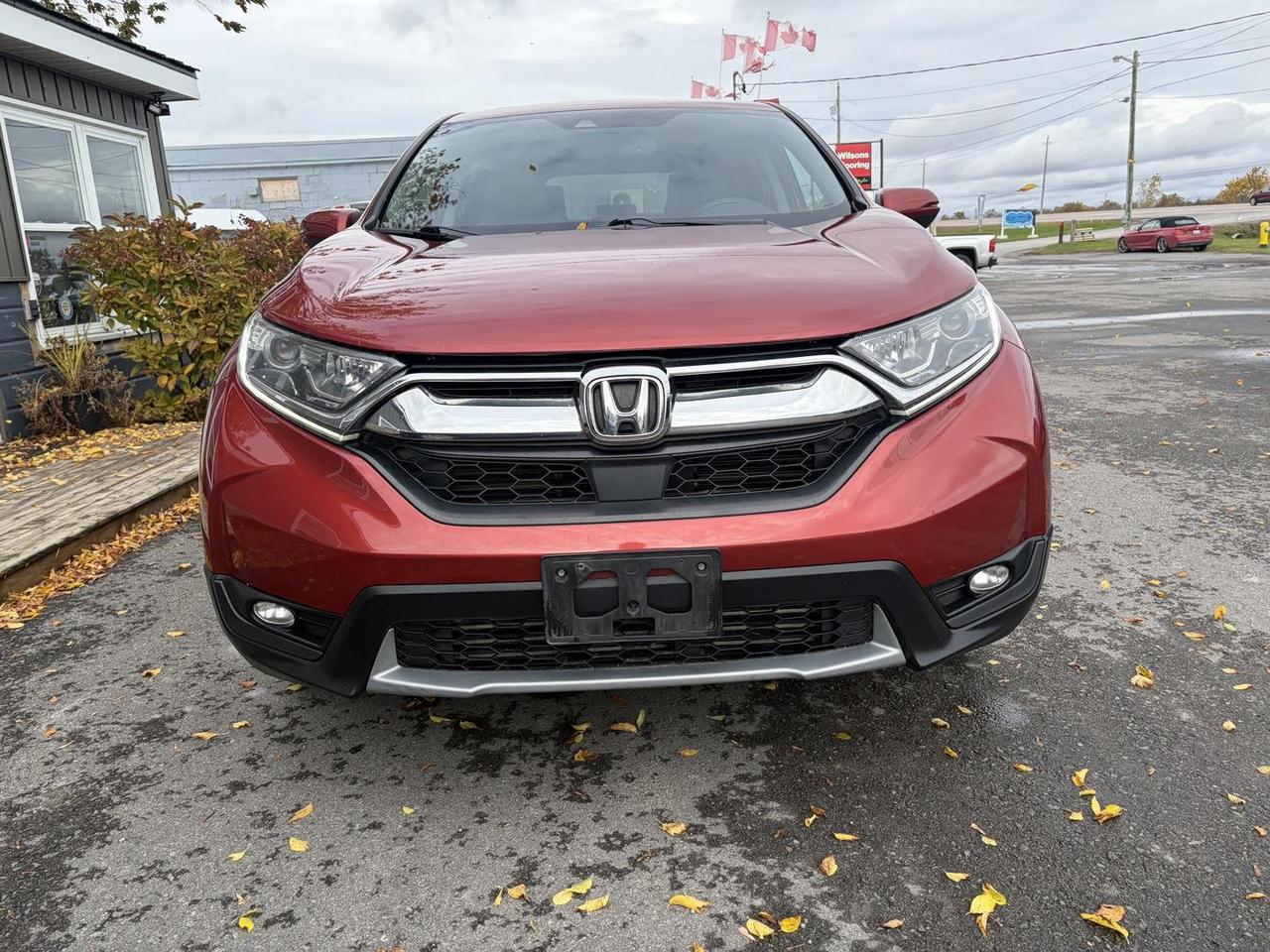 2019 Honda CR-V EX-L 4dr All-wheel Drive Photo