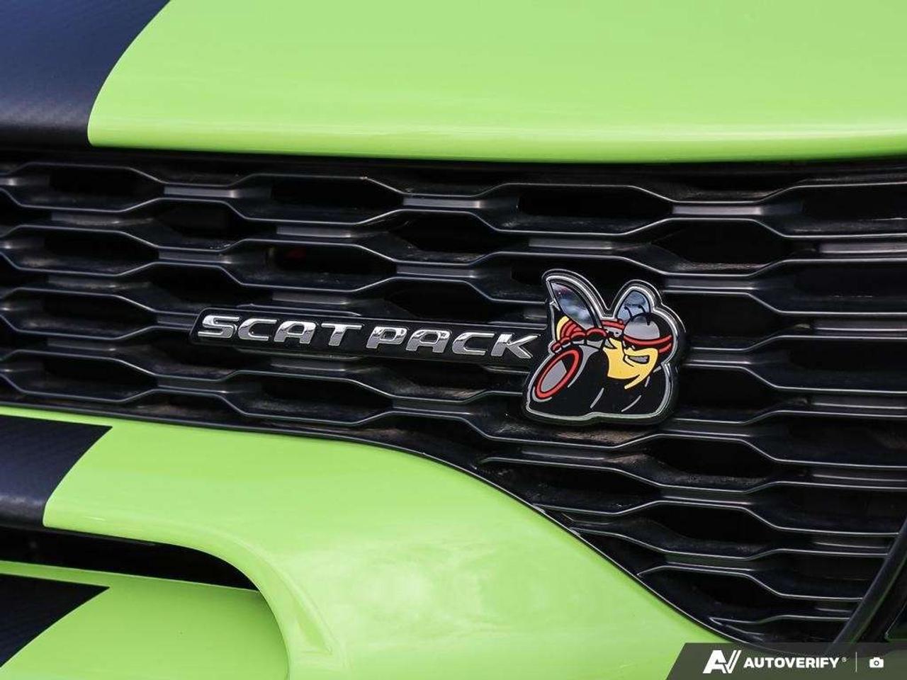 2023 Dodge Charger WIDEBODY   LAST CALL EDITION   SUBLIME Photo
