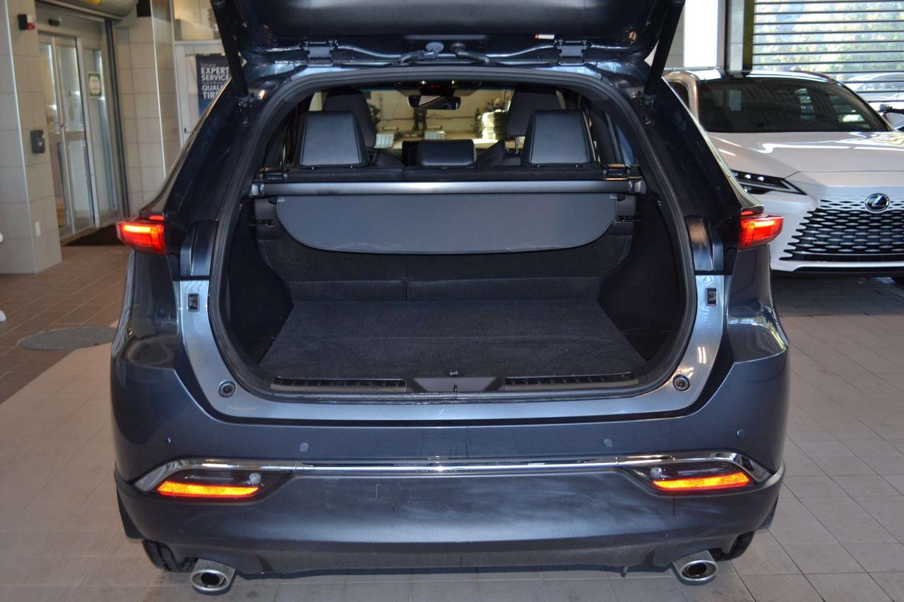 2021 Toyota Venza  Photo