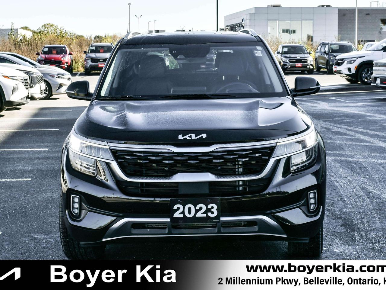 2023 Kia Seltos SX Turbo AWD w/Burgundy Interior Photo2