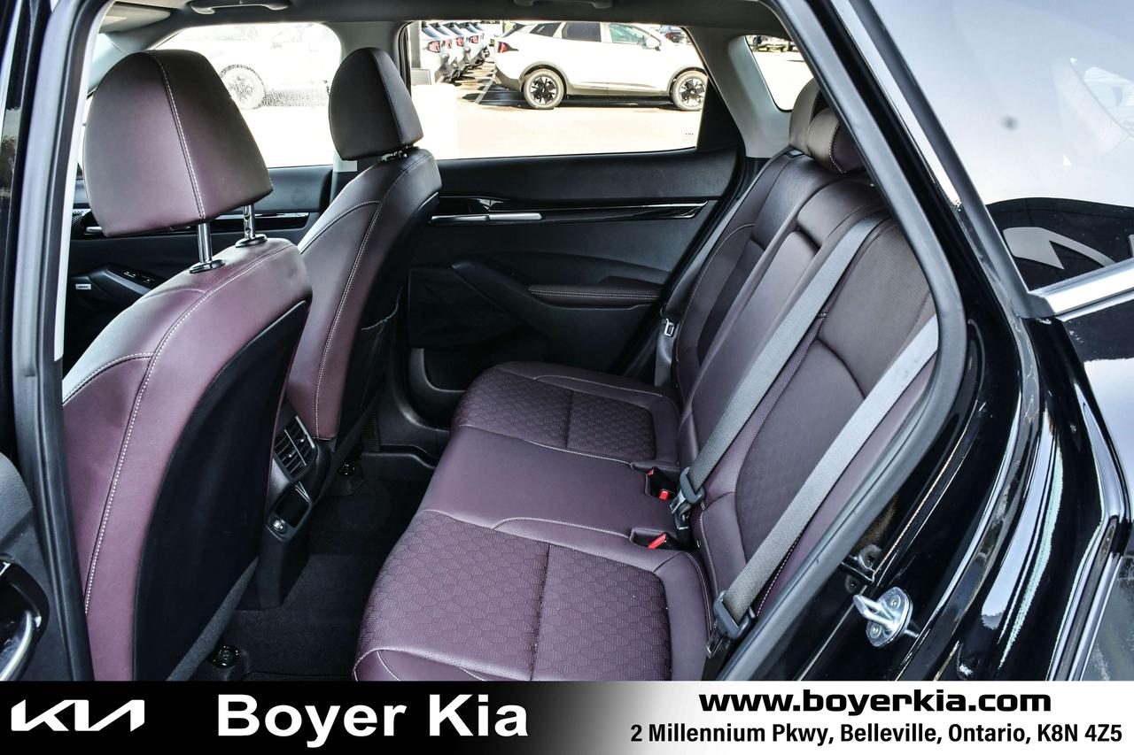 2023 Kia Seltos SX Turbo AWD w/Burgundy Interior Photo