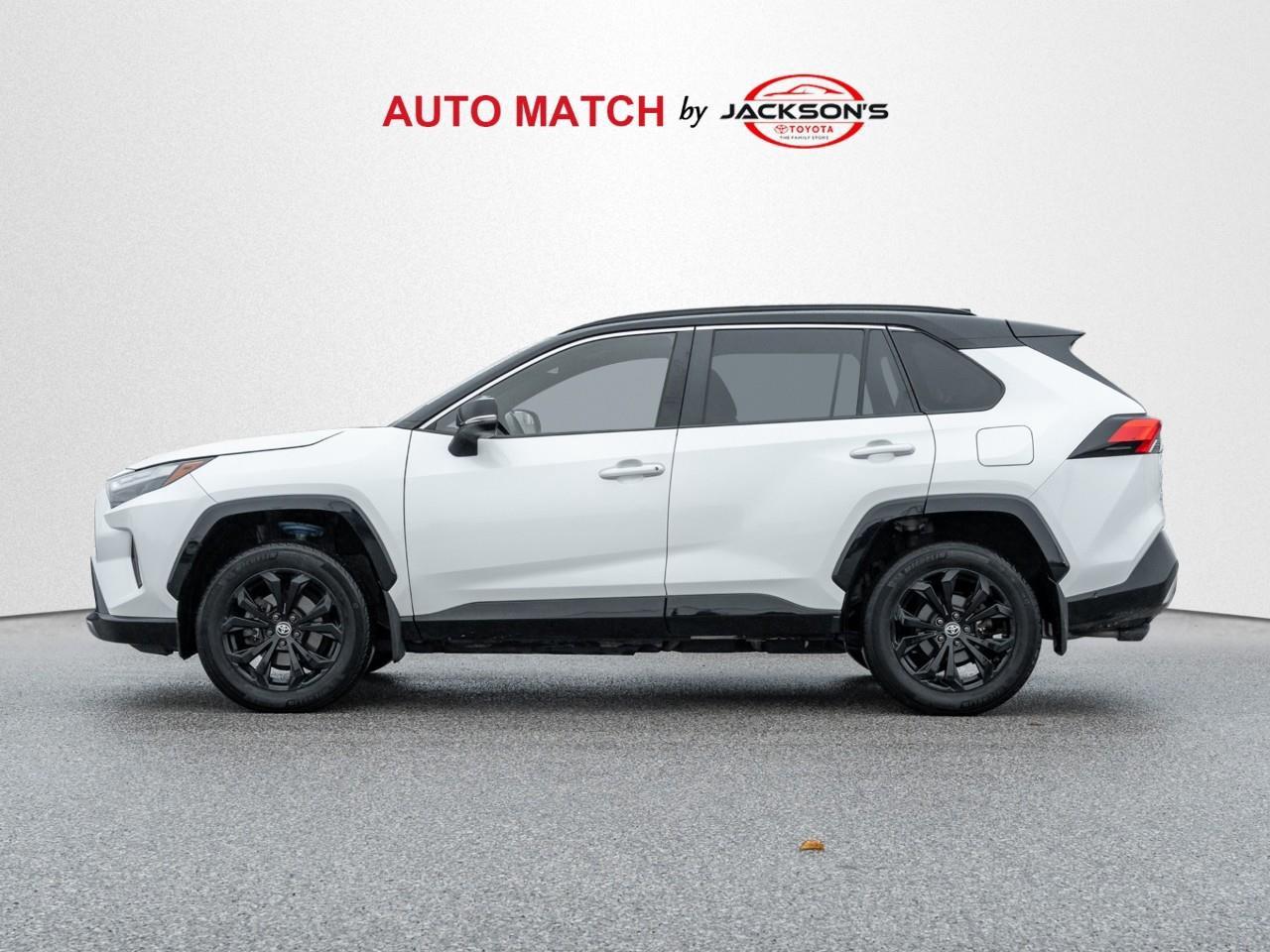 2023 Toyota RAV4 Hybrid XSE 4dr All-Wheel Drive Photo