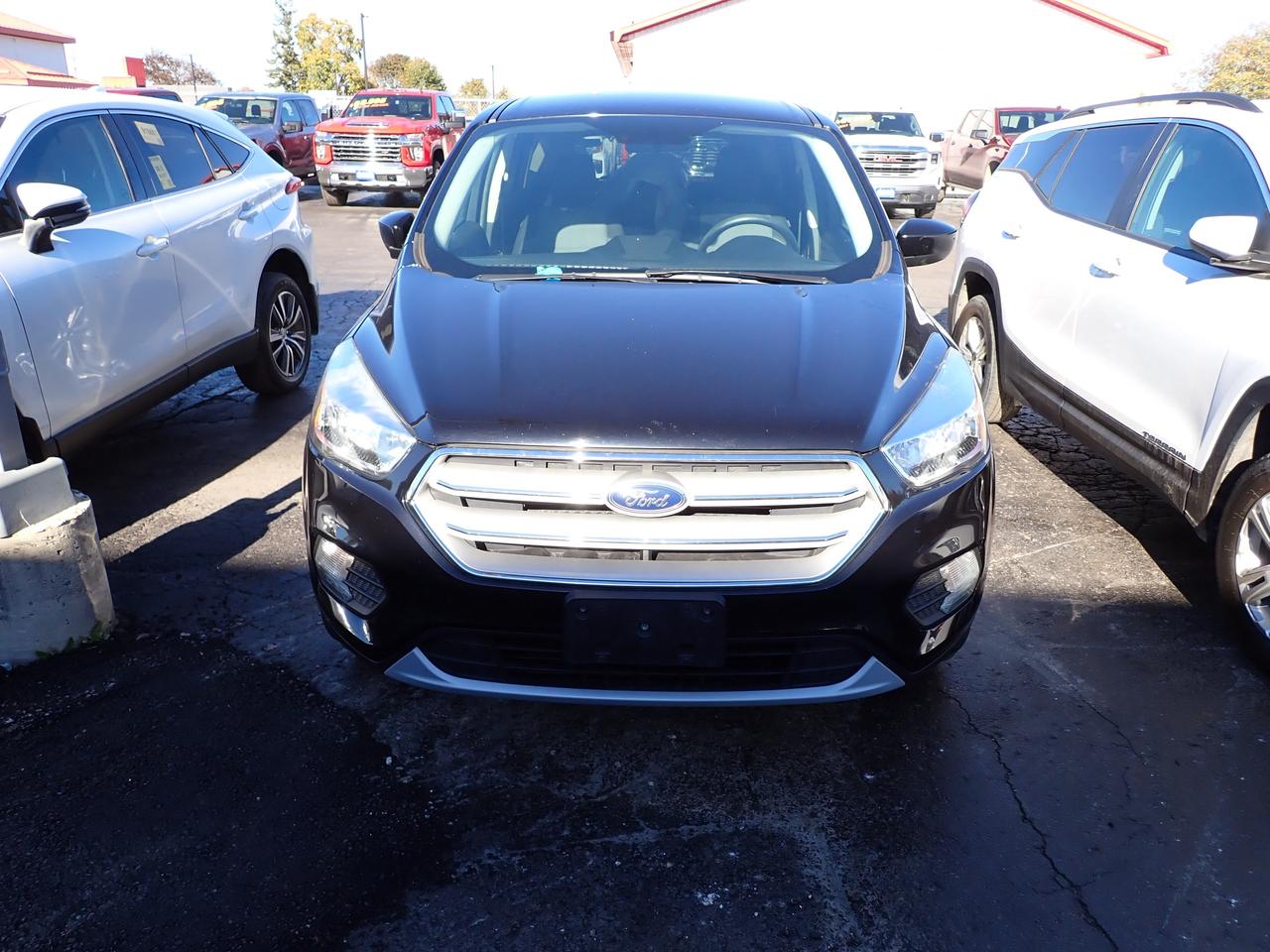 2019 Ford Escape SE AWD Photo