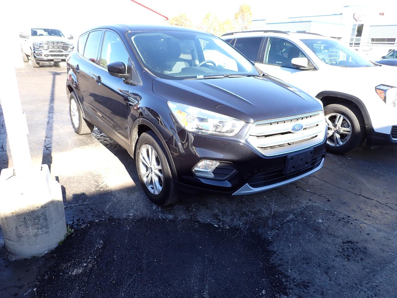 2019 Ford Escape SE AWD Photo