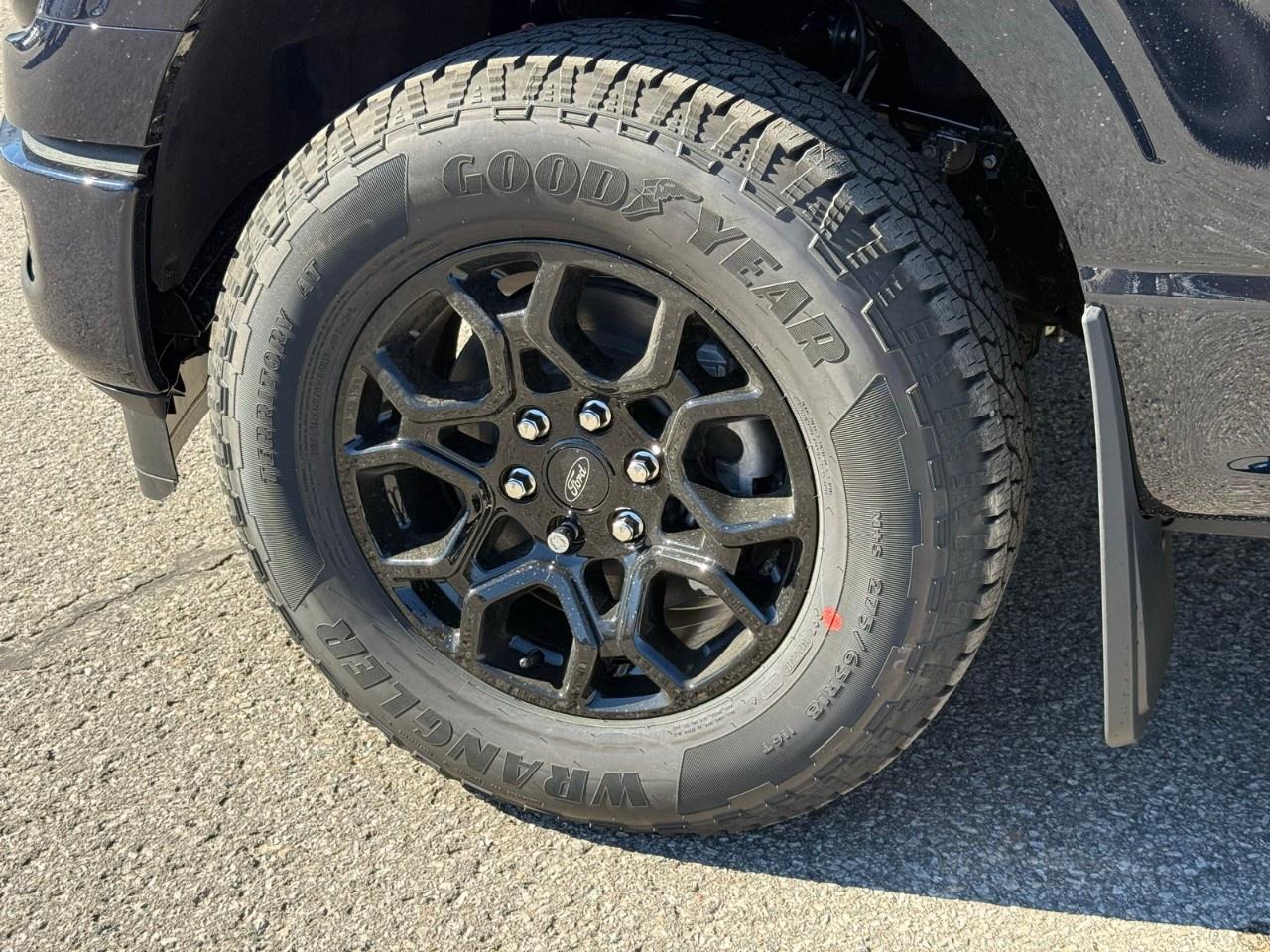 2026 Ford F-150  Photo