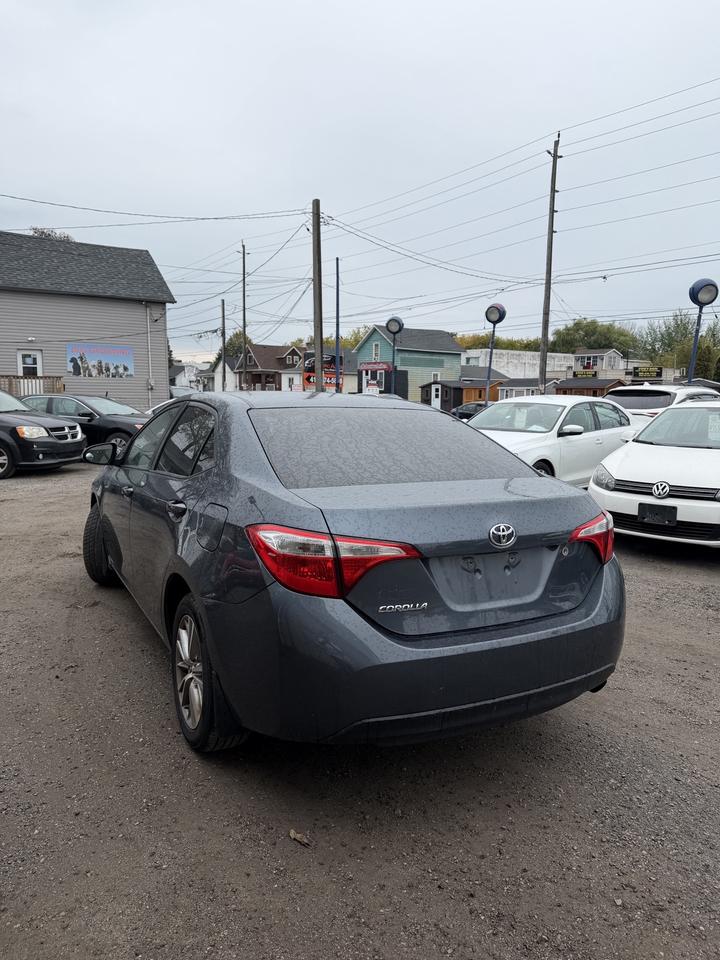 2016 Toyota Corolla LE Photo