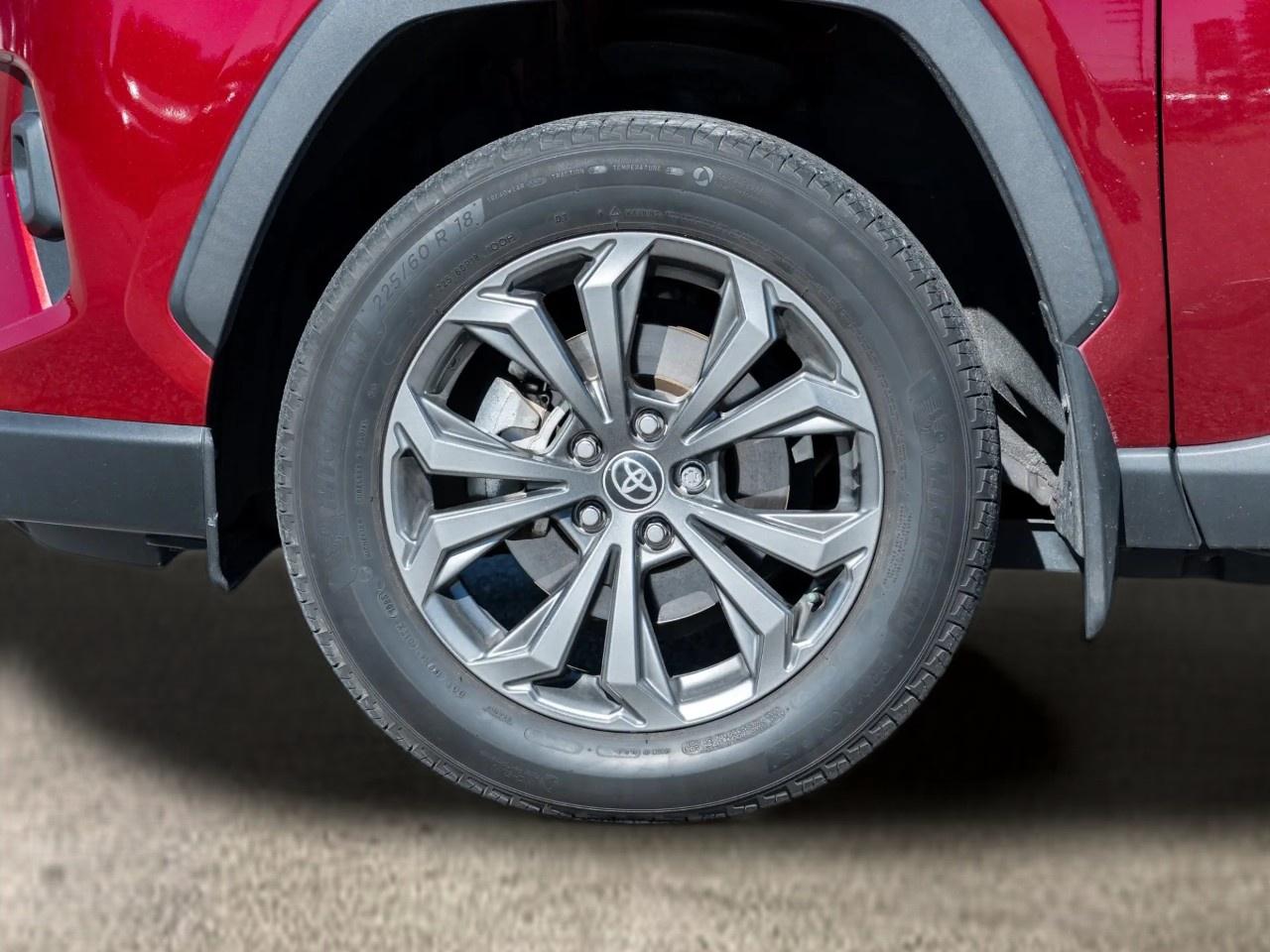 2023 Toyota RAV4 Hybrid Limited AWD Photo
