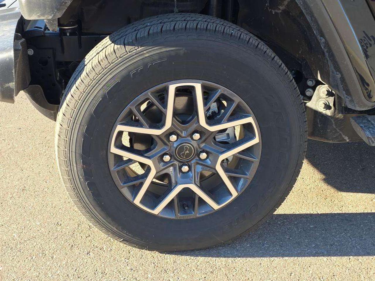 2026 Jeep Wrangler Sahara Photo