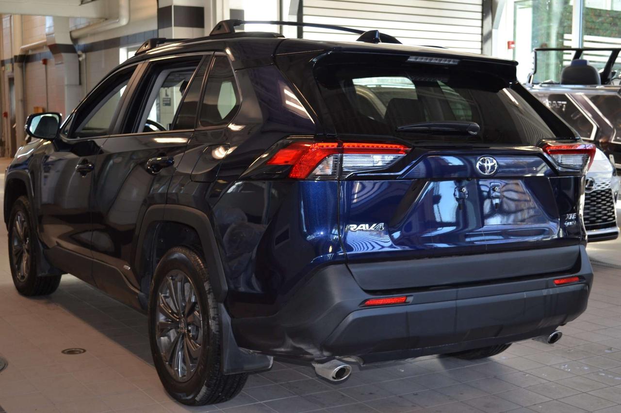 2025 Toyota RAV4 XLE Photo5