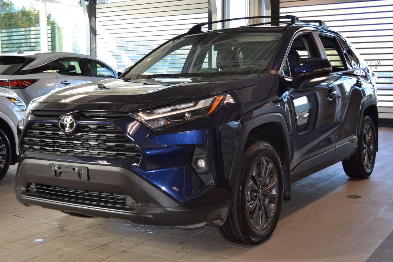 2025 Toyota RAV4 XLE Photo