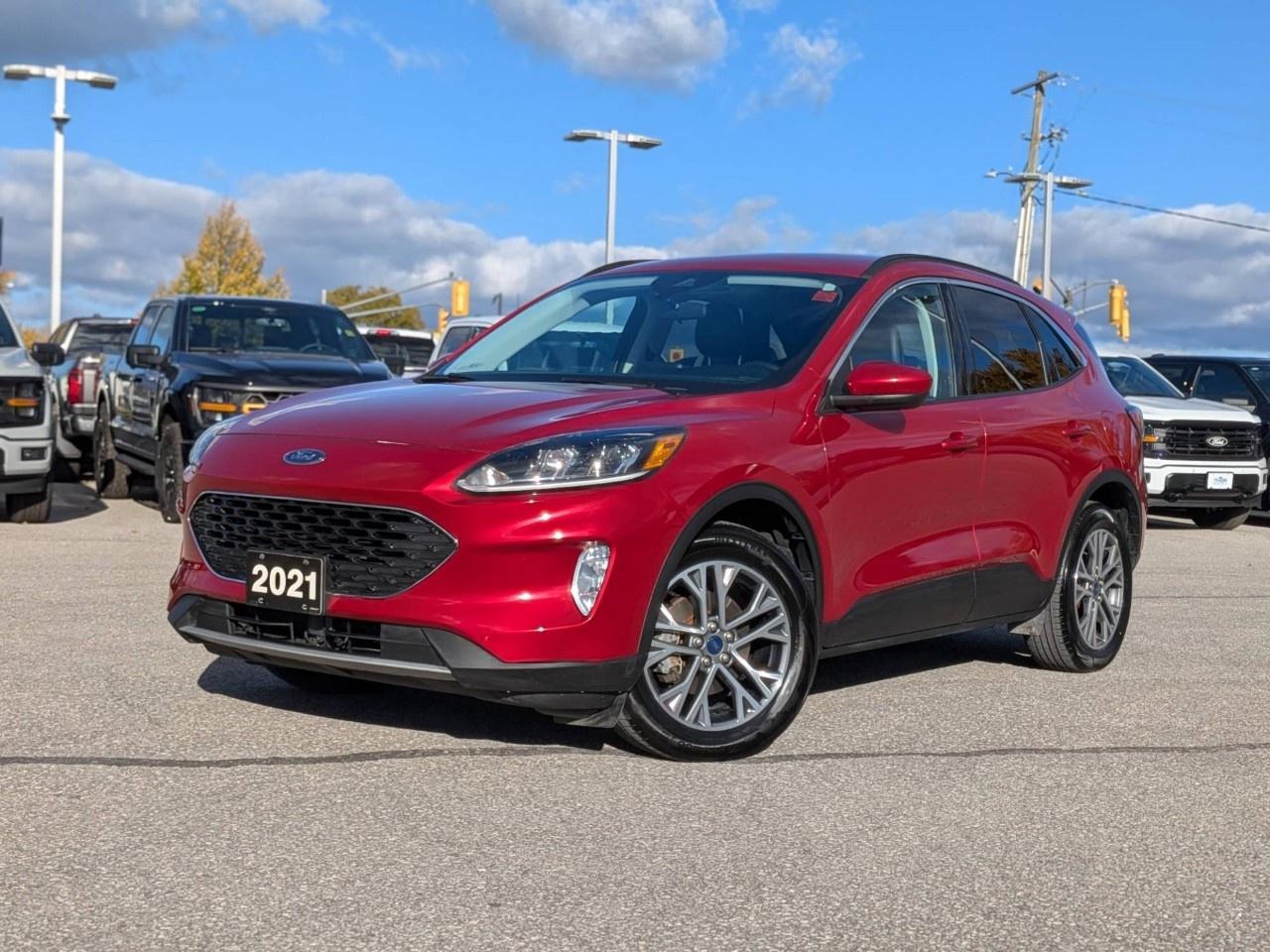 2021 Ford Escape SEL Hybrid AWD Photo0