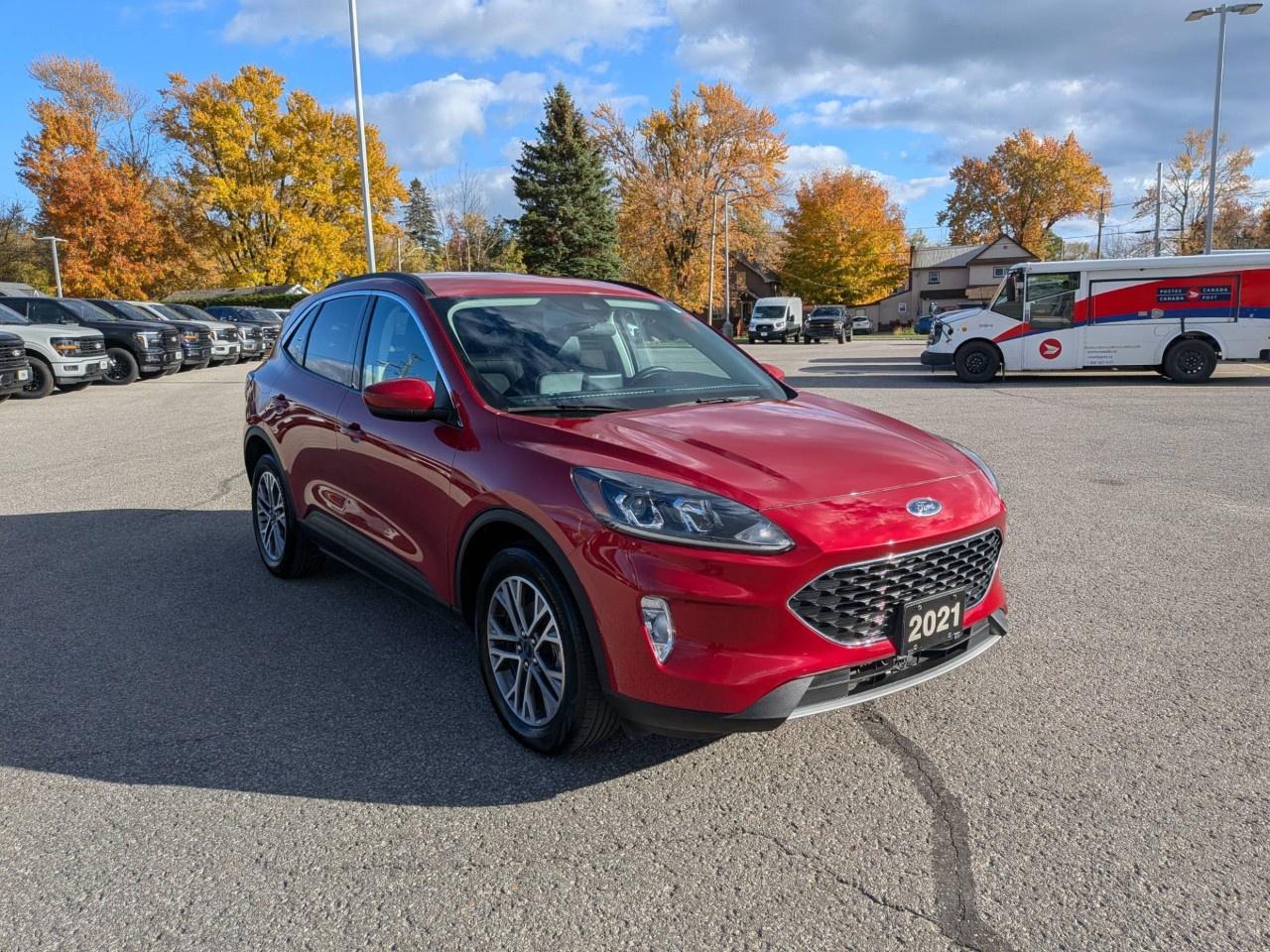 2021 Ford Escape SEL Hybrid AWD Photo