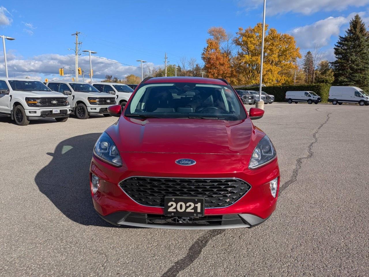 2021 Ford Escape SEL Hybrid AWD Photo5