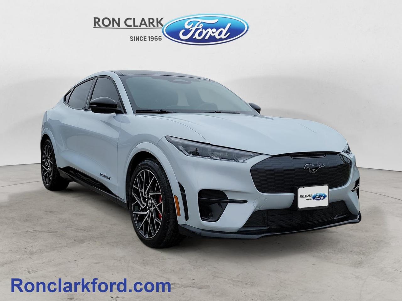 2022 Ford Mustang Mach-E GT Performance Edition 4dr All-Wheel Drive Photo