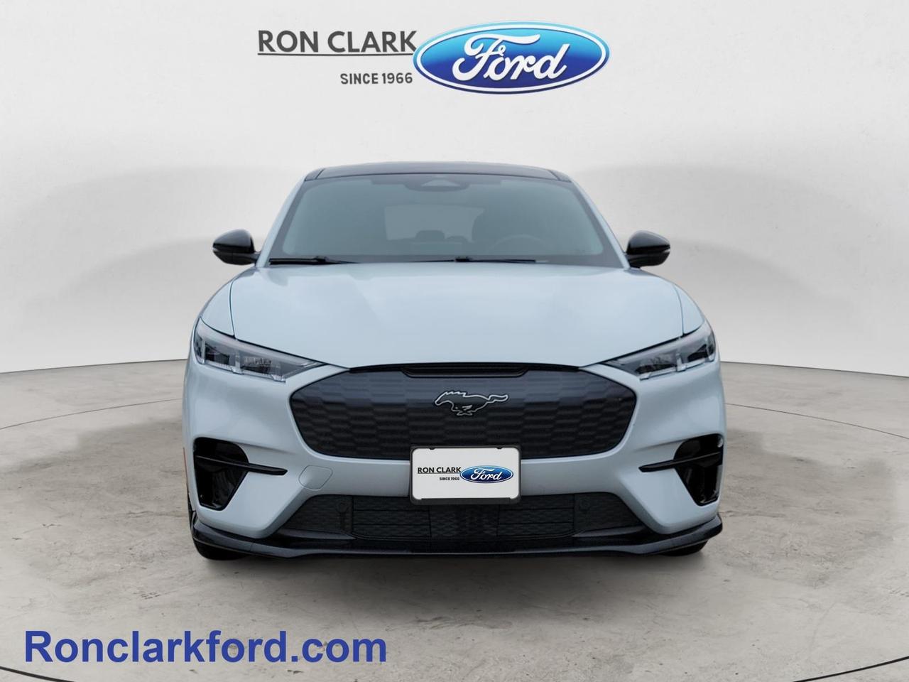 2022 Ford Mustang Mach-E GT Performance Edition 4dr All-Wheel Drive Photo1