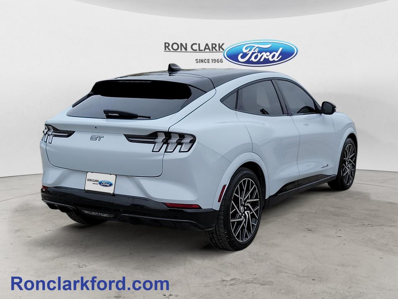 2022 Ford Mustang Mach-E GT Performance Edition 4dr All-Wheel Drive Photo