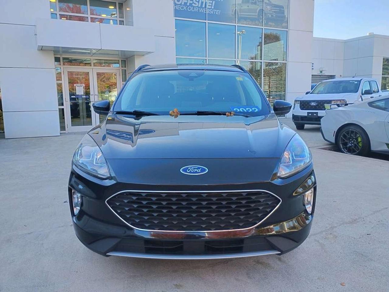 2022 Ford Escape SEL Photo