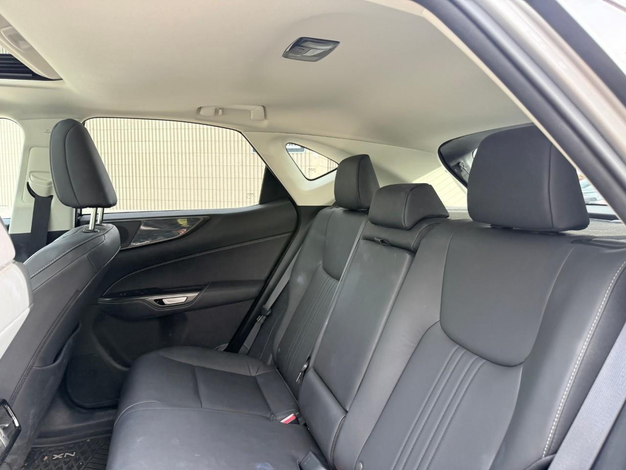 2024 Lexus NX 350h Base 4dr All-Wheel Drive Photo